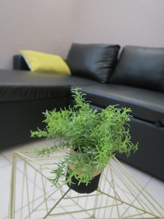 Appartement Rdc, Patio Tourbes 外观 照片