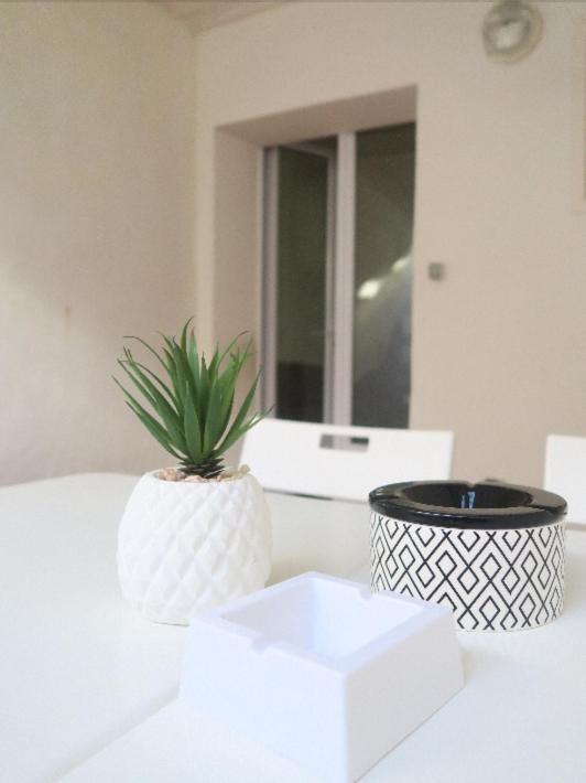Appartement Rdc, Patio Tourbes 外观 照片